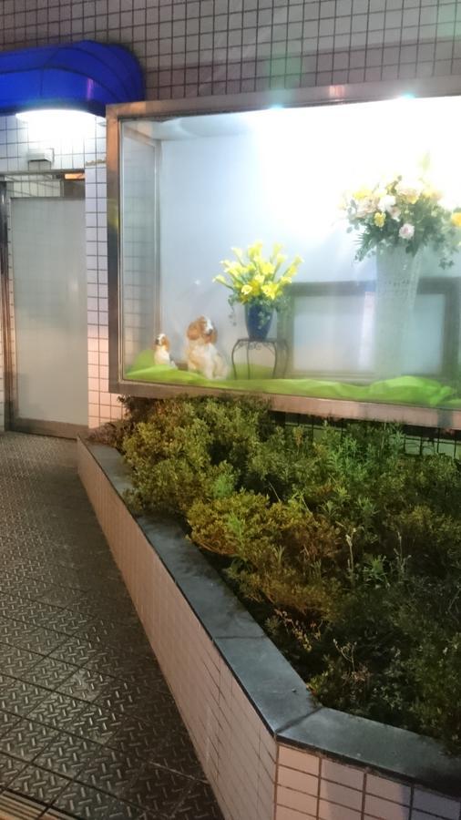 Hotel Loire (Adults Only) Osaka Ngoại thất bức ảnh